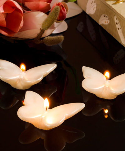 Набор свечей Butterflies 8,2x6x2 см 3 шт